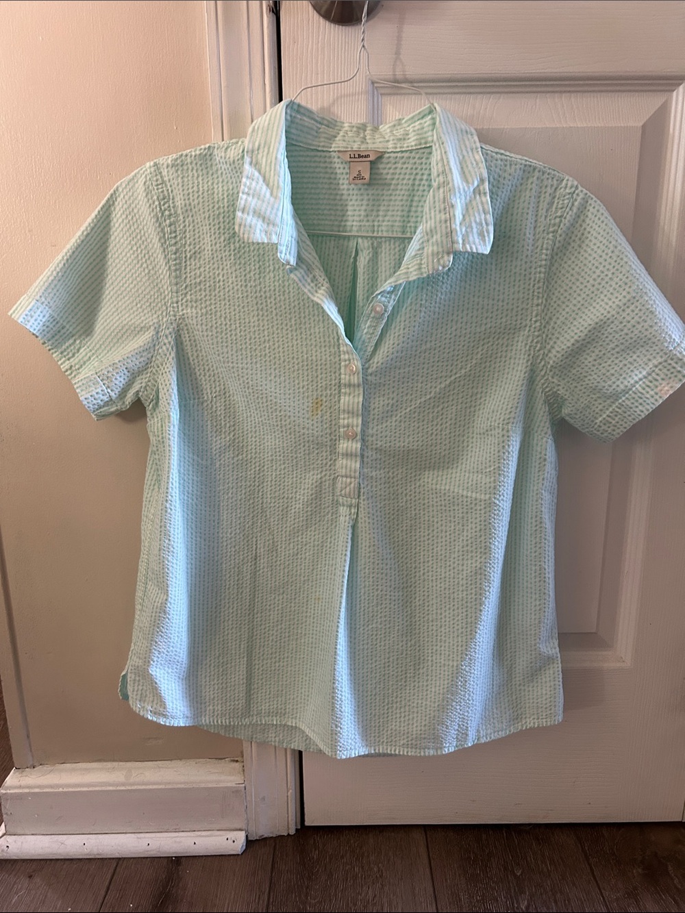 L.L. Bean Women's Short-Sleeve Button-Down Shirt - Mint Green pin stripes